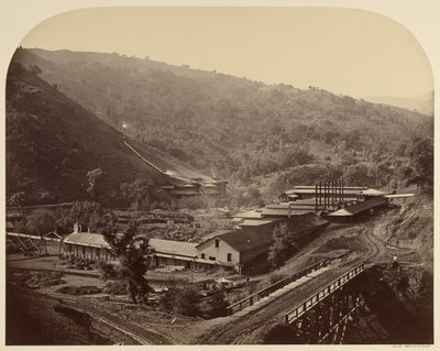 von Carleton Watkins