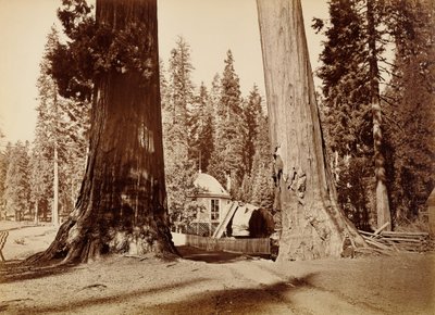 von Carleton Watkins