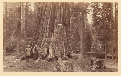  von Carleton Watkins
