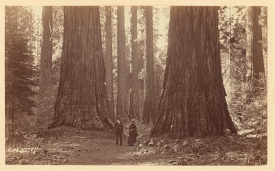  von Carleton Watkins