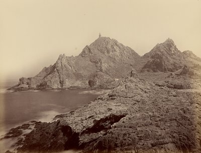 [Blick von den Sugar Loaf Islands, Farallons] von Carleton Watkins