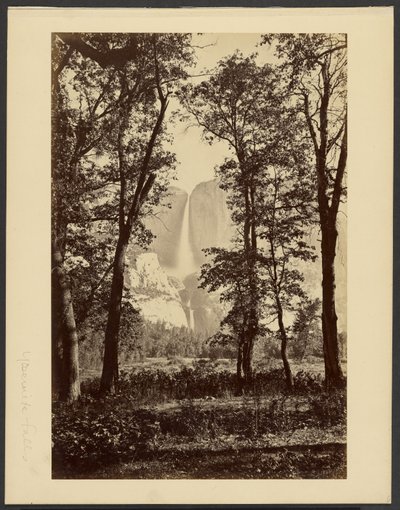  von Carleton Watkins