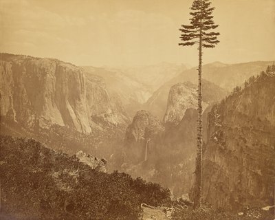 Yosemite-Tal vom Mariposa-Pfad von Carleton Watkins