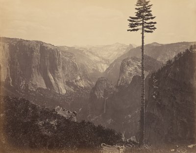  von Carleton Watkins