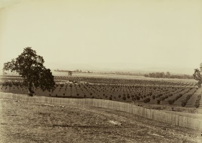  von Carleton Watkins