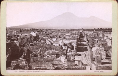 Panorama von Pompeji, ca. 1880 von Carlo Brogi