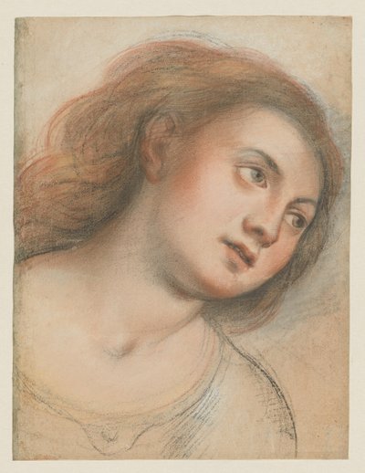 Studie für weiblichen Kopf (verso); Kopf Christi (recto) von Carlo Francesco Nuvolone