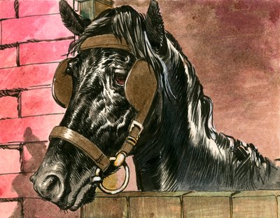 Schwarze Schönheit von Carlos Gabriel Roume