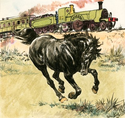 Black Beauty von Carlos Gabriel Roume