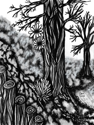 Digitale Kohlezeichnung 1 von Carol Sousa Cuello