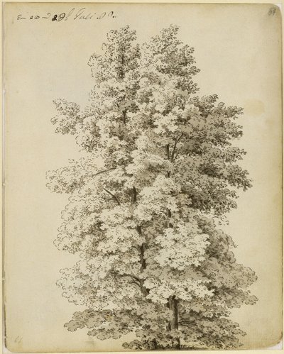  von Caspar David Friedrich