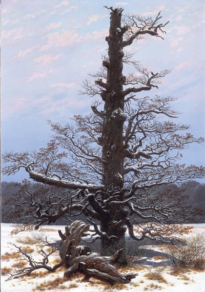 Eichbaum im Schnee von Caspar David Friedrich