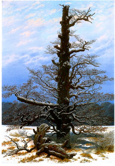 Eichbaum im Schnee von Caspar David Friedrich