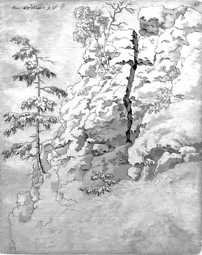 Felsiger Hang mit Bäumen von Caspar David Friedrich
