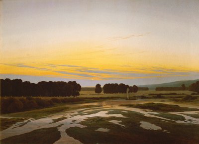 Das große Wildgehege bei Dresden von Caspar David Friedrich
