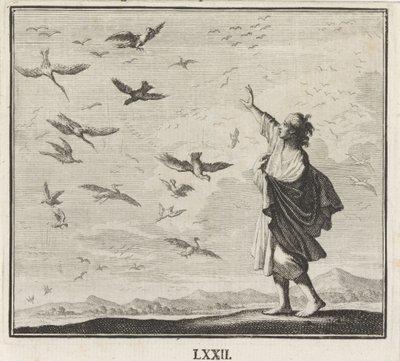 Emblem: Vögel von Caspar Luyken