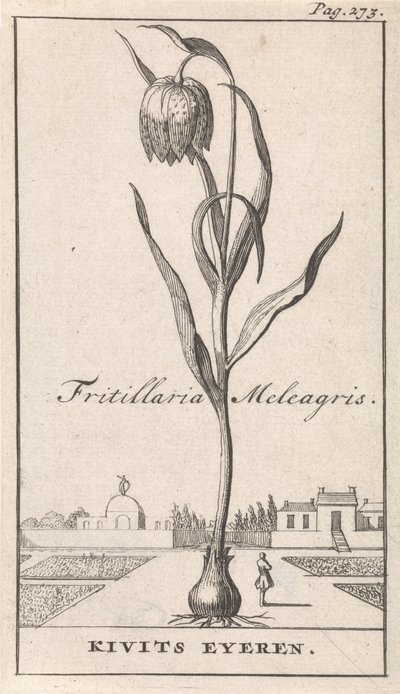 Titelblatt und acht Drucke mit Blumen von Caspar Luyken