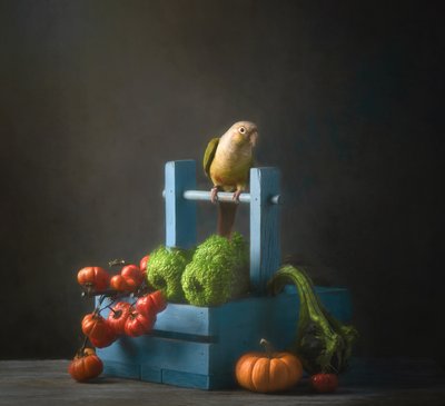 Herbstpapagei Stillleben von Catherine Wang