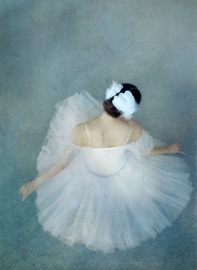 Elegante Ballerina-Schwan von Catherine Wang