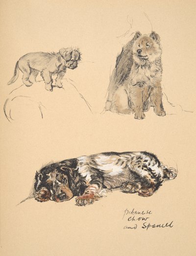 Pekinese, Chow und Spaniel, 1930, Illustrationen aus seinem Skizzenbuch verwendet für Just Among Friends, Aldin, Cecil Charles Windsor (1870-1935), später veröffentlicht von Eyre und Spottiswoode Limited, 1934 von Cecil Charles Windsor Aldin
