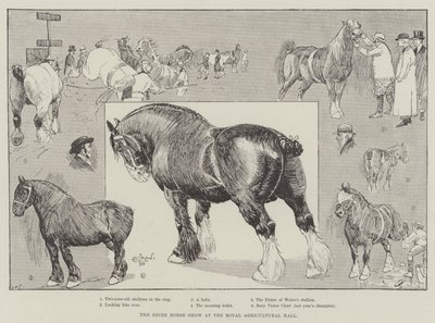 Die Shire Horse Show in der Royal Agricultural Hall von Cecil Charles Windsor Aldin