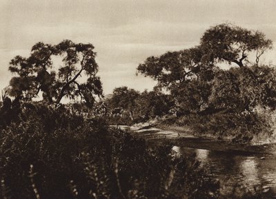 Mexiko: Zacatecas, In der Nähe der Ruinen von La Quemada von Cecile Seler Sachs