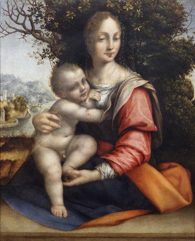 Madonna mit Kind (Unsere Liebe Frau vom Baum) von Cesare da Sesto
