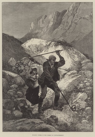 Töten von Vipern im Wald von Fontainebleau von Charles Auguste Loye