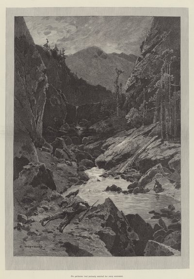 Wilde Darrie von Charles Auguste Loye