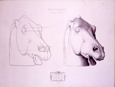 Pferdekopf vom Westgiebel des Parthenon, Tafel 47 aus Cours de Dessin, ca. 1898 von Charles Bargue