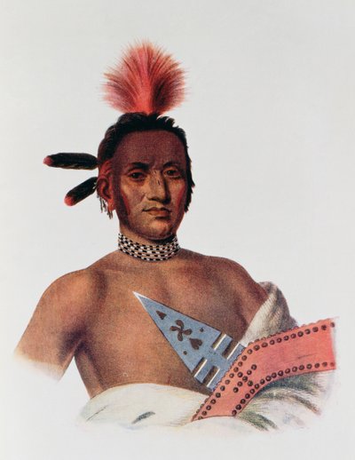 Moa-Na-Hon-Ga oder 