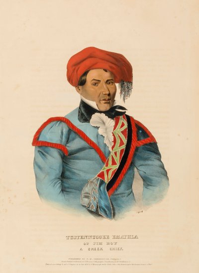 TUSTENNUGGEE EMATHLA, aus Geschichte der Indianerstämme Nordamerikas von Charles Bird King
