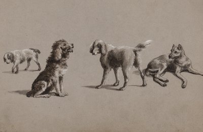 Studien von Hunden von Charles Cooper Henderson