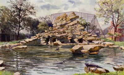 Londoner Zoo: Seelöwenbecken von Charles Edwin Flower
