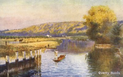 Fluss Themse: Quarry Woods von Charles Edwin Flower