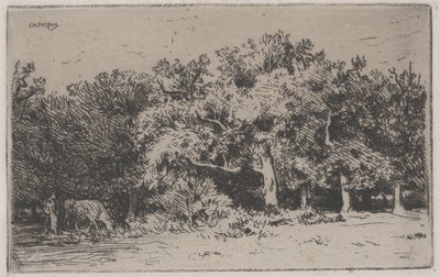 Eine Ecke des Waldes von Fontainebleau von Charles Emile Jacque