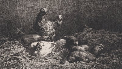 Hühner, 1867 von Charles Emile Jacque