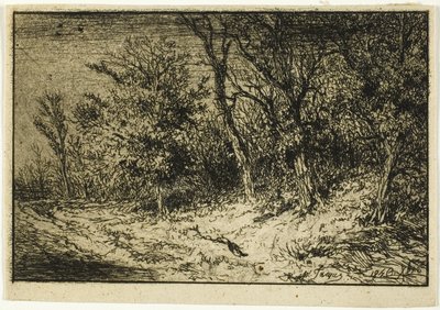 Straße am Waldrand von Charles Emile Jacque