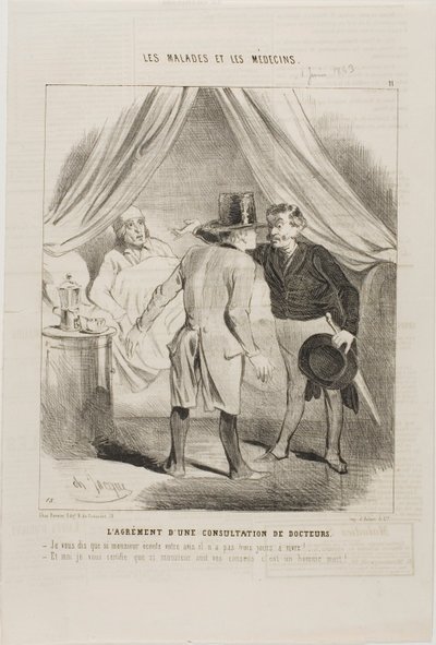 Das Vergnügen einer ärztlichen Beratung (Tafel 11) von Charles Emile Jacque