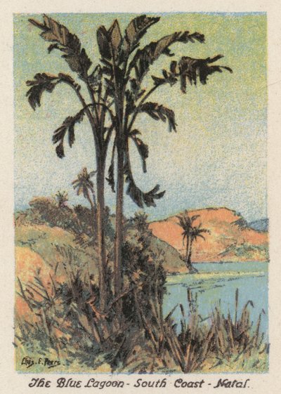 Südafrika: Die Blaue Lagune, Südküste, Natal von Charles Ernest Peers