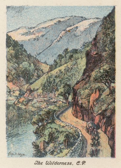Südafrika: Die Wildnis, CP von Charles Ernest Peers