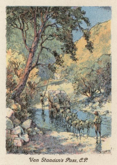 Südafrika: Van Staaden