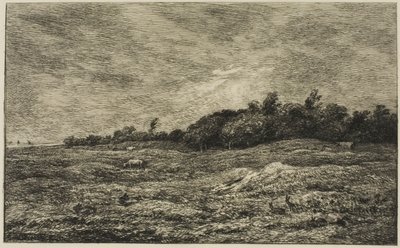 Le Pré des Graves in Villerville (Calvados) von Charles Francois Daubigny
