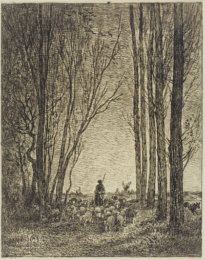 Rückkehr der Herde von Charles Francois Daubigny