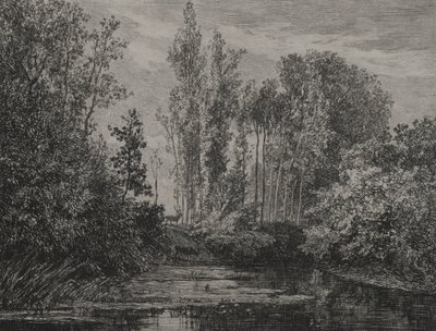 Hirsche am Wasser von Charles Francois Daubigny