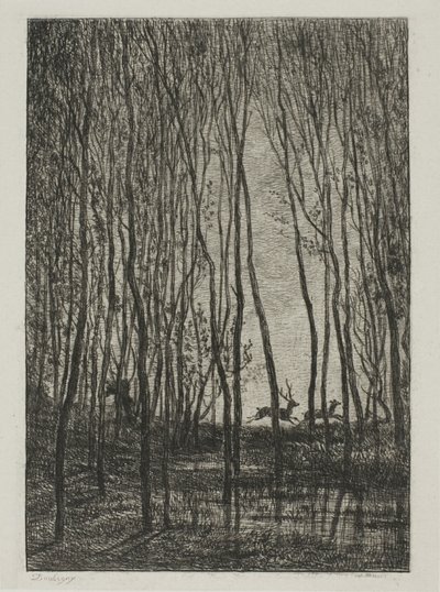 Hirsche im Wald von Charles Francois Daubigny