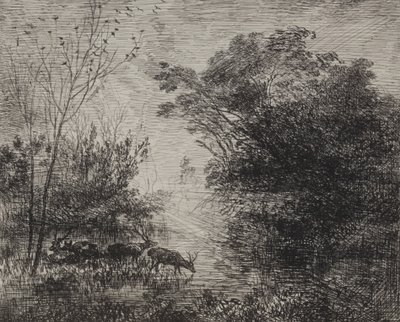 Hirsche, Originaldruck 1862, gedruckt 1921 von Charles Francois Daubigny