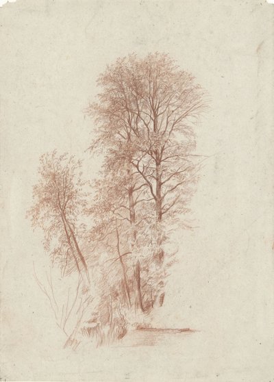 Studie von zwei schlanken und einigen kleineren Bäumen im Blatt von Charles Francois Daubigny