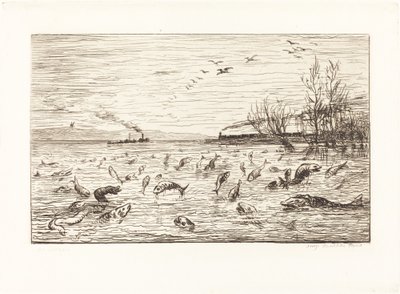 Die Fische freuen sich, wenn der Schiffsjunge geht von Charles Francois Daubigny