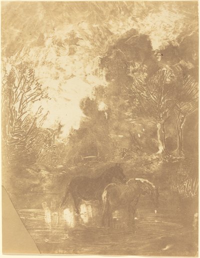 Zwei Pferde an einer Tränke von Charles Francois Daubigny